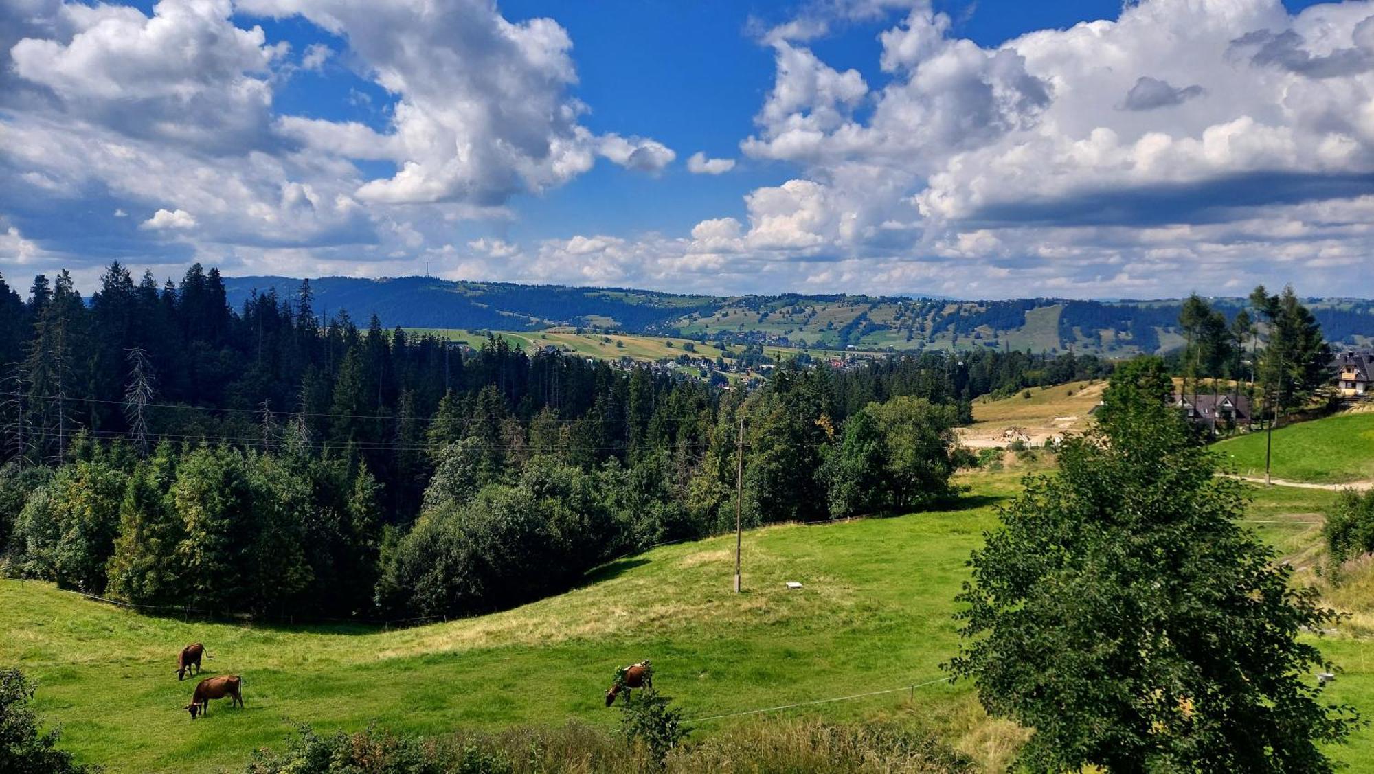 Willa Posrednia Zakopane Exterior foto