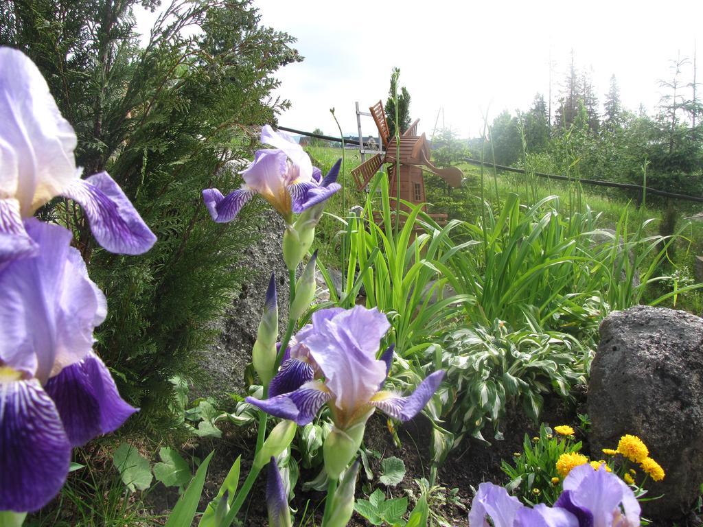Willa Posrednia Zakopane Exterior foto