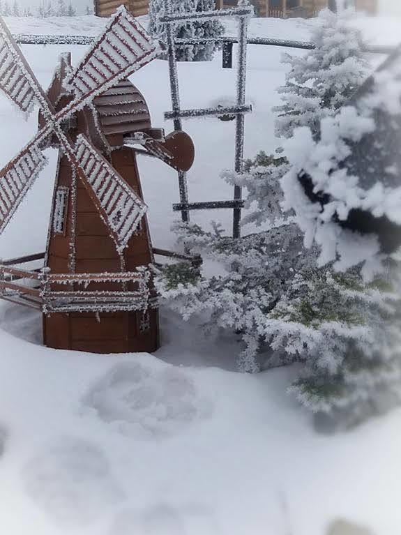 Willa Posrednia Zakopane Exterior foto